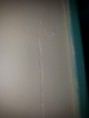 /album/galerie-photos/a20140527-153022-jpg/
